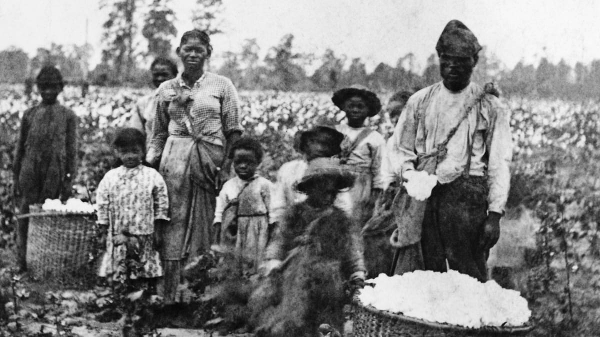 Beyond the Myth: How Many Americans Actually Owned Slaves?